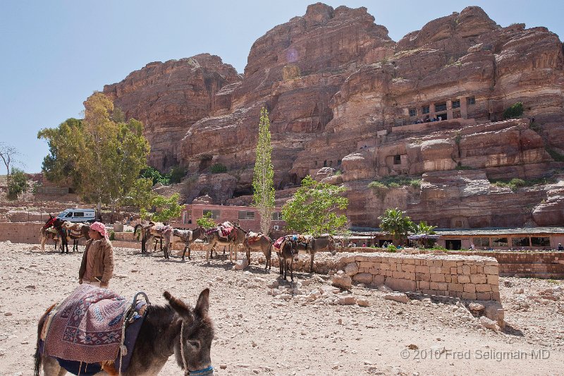 20100412_142116 D3.jpg - Several donkeys are available to bring you out of the canyon